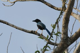 _MG_7816.JPG