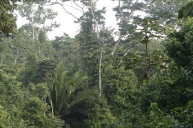 _MG_4098.JPG