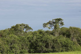 Portal_Paraiso_2_009.jpg