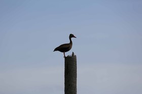 Portal_Paraiso_1_040.jpg