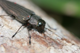 IMG_8038.JPG