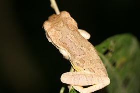 IMG_0592.JPG