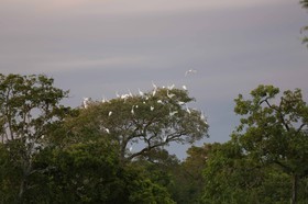 Portal_Paraiso_2_061.jpg
