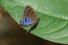 IMG_0570.JPG