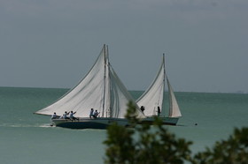 IMG_0911.JPG