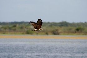 _MG_4661.JPG