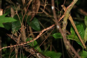 IMG_9759.JPG