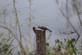 Portal_Paraiso_1_046.jpg