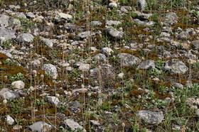 2016_08_01_4736.JPG