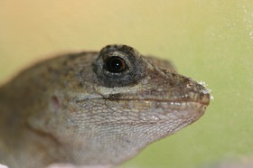 IMG_9647.JPG
