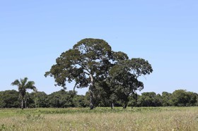 Portal_Paraiso_2_091.jpg