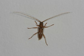 IMG_9897.JPG