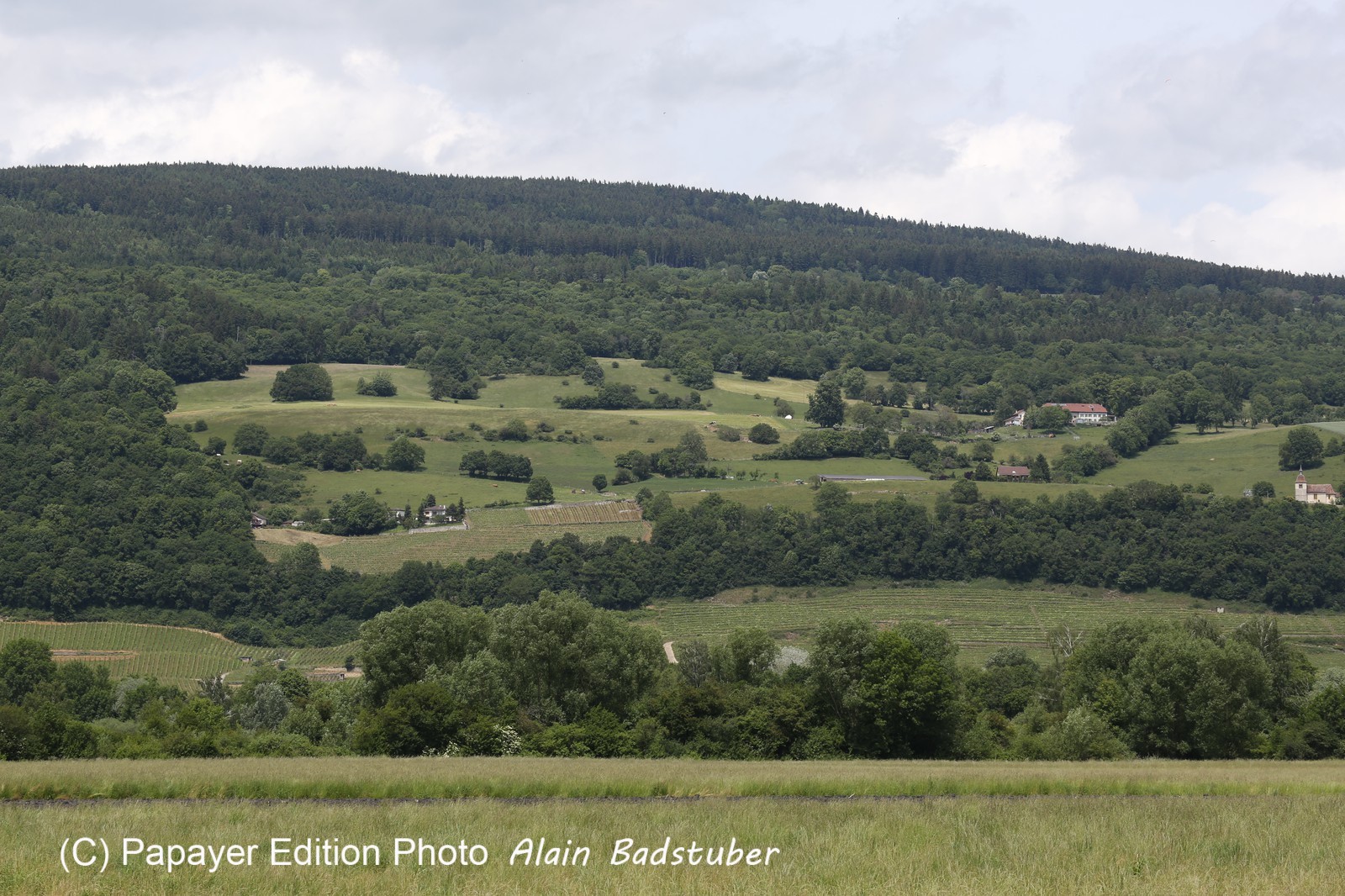Vieille-Thielle_155.JPG