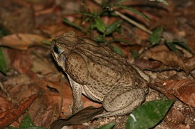 IMG_0622.JPG
