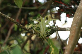 IMG_9628.JPG