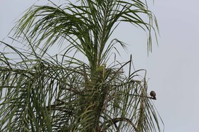 Portal_Paraiso_2_064.jpg