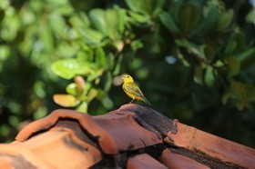 Portal_Paraiso_1_029.jpg