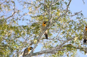 Portal_Paraiso_1_020.jpg