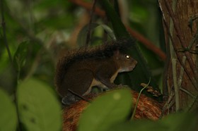 _MG_4196.JPG