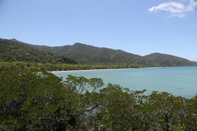 Cape-Trib_1627.JPG