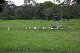 Portal_Paraiso_2_077.jpg