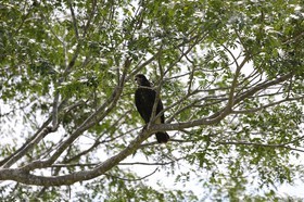 Portal_Paraiso_2_044.jpg