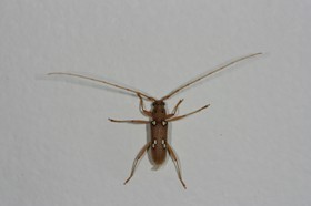 IMG_9896.JPG