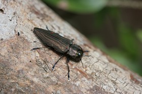 IMG_8034.JPG