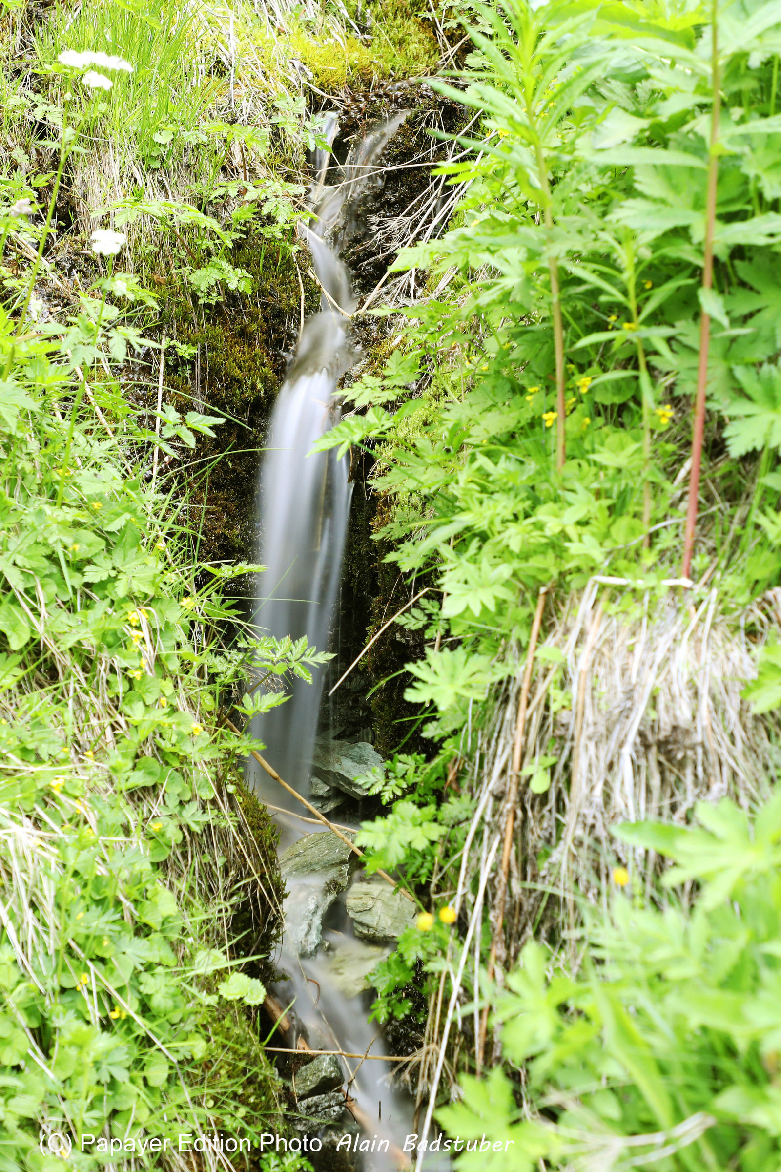 Pas de vent, mais d'autres photos !