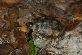 _MG_7317.JPG