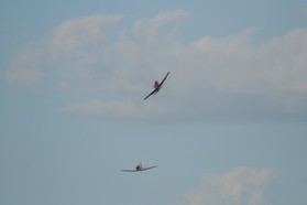 PC7_031