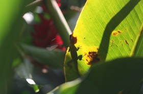 IMG_9560.JPG