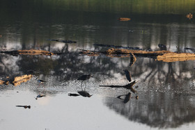 Ambiance-du-matin_2.jpg