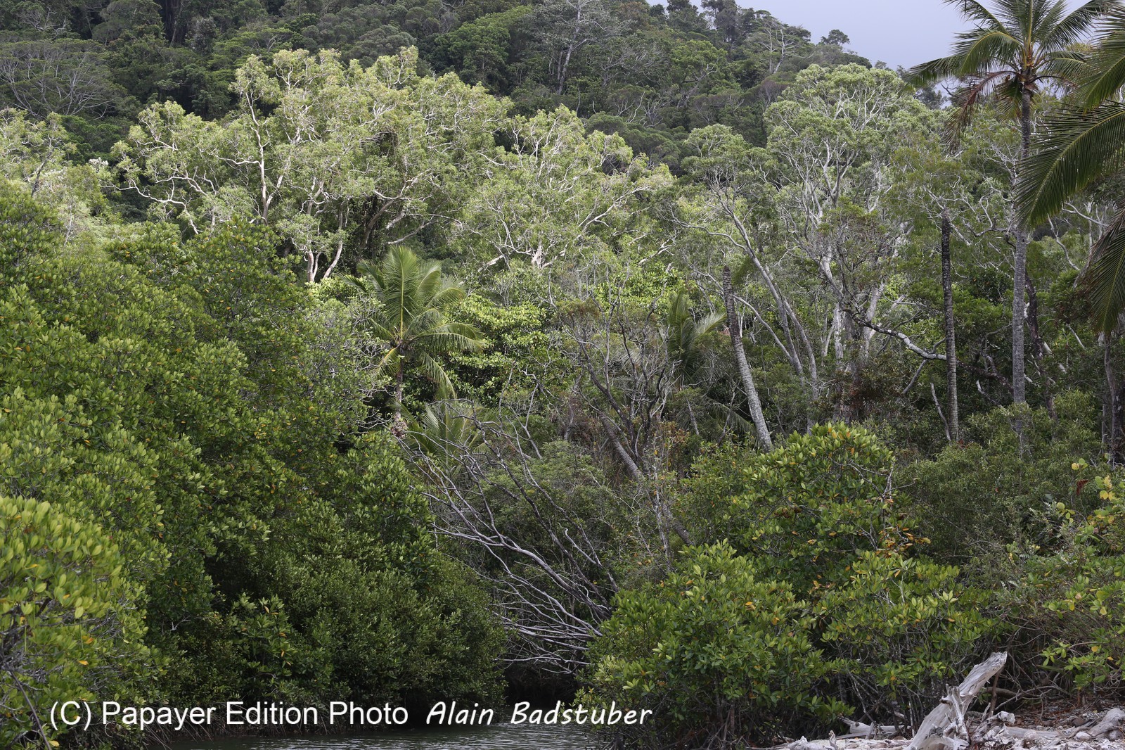 Cape-Trib_0671.JPG