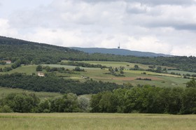 Vieille-Thielle_156.JPG
