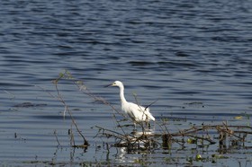 _MG_5128.JPG