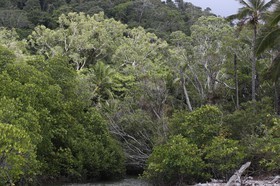 Cape-Trib_0671.JPG