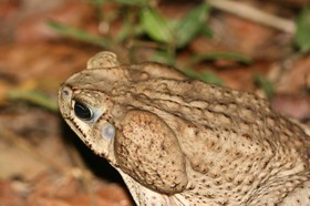 IMG_0624.JPG