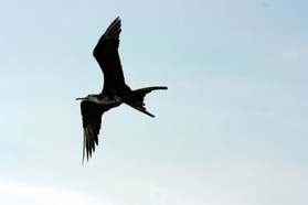 Images_Belize_2011_401
