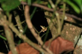 IMG_9698.JPG