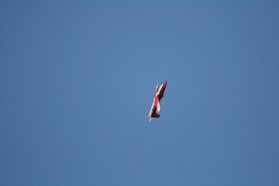 PC7_046