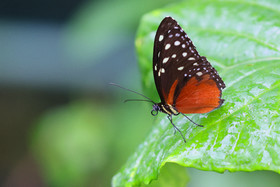 Punta Culebra Nature Center