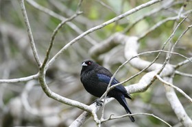_MG_7306.JPG