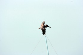 Images_Belize_2011_442