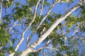 Portal_Paraiso_1_021.jpg