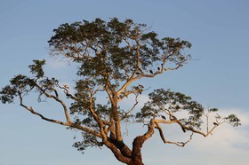 Portal_Paraiso_1_011.jpg