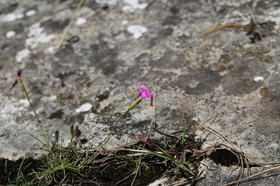 2016_08_01_4777.JPG