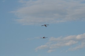 PC7_034