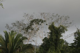 _MG_4484.JPG